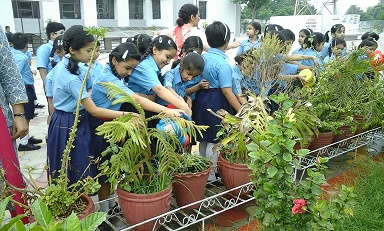 World Environment Day