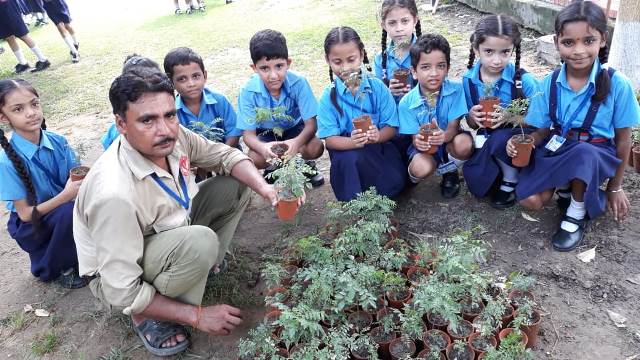 BVM celebrated Green Day