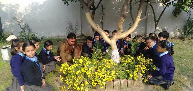 BVM observed World Soil Day