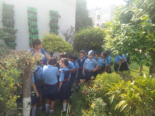 Plantation drive organized in BVM