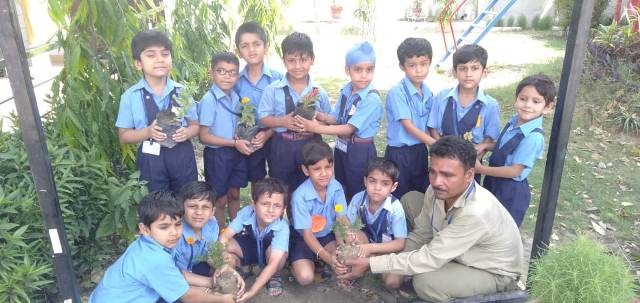 World Environment Day celebrated