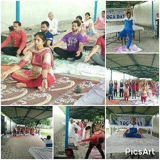 Celebration of International Yoga Day